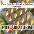 Para Qué Se Utiliza La Gelatina Kamagra cialis2